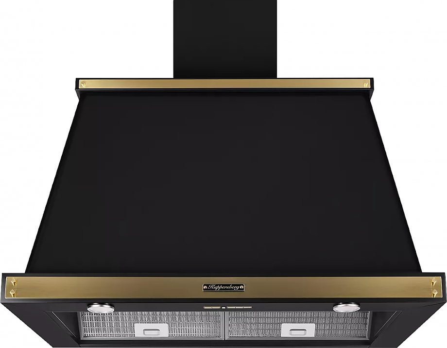 T 969 ANT Bronze