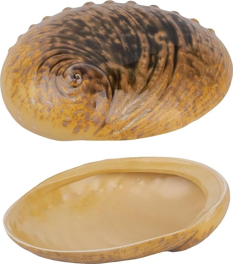 Light Pearl Ammonite Shell Frutti di Mare B240020619-2401A 365 мл 19х14, 5 см h = 5 см (керамика)