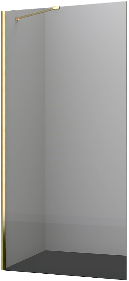 Aisch 55W44 100х200 см, профиль матовое золото