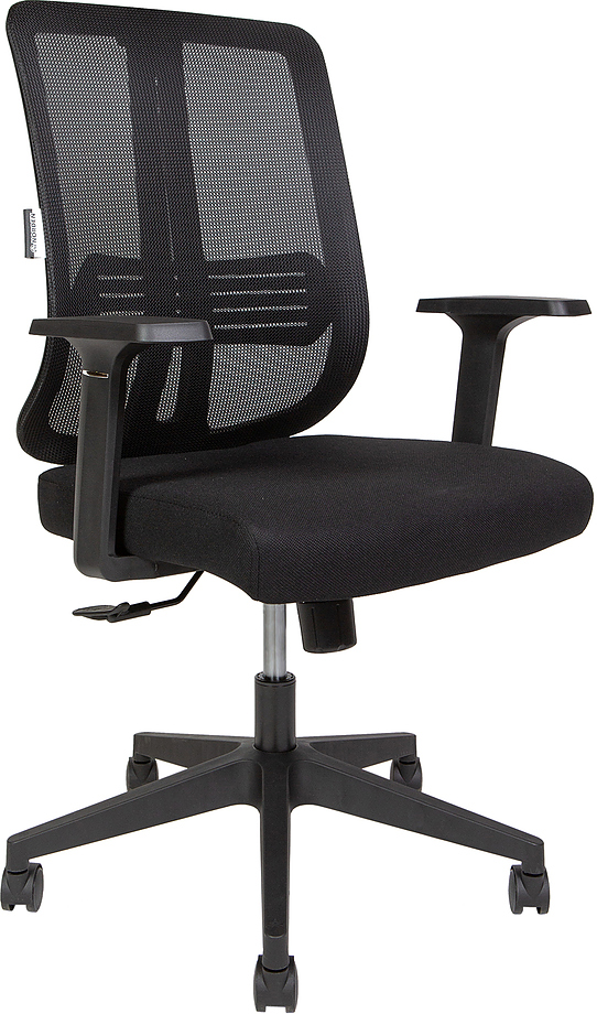 Tema LB 216B