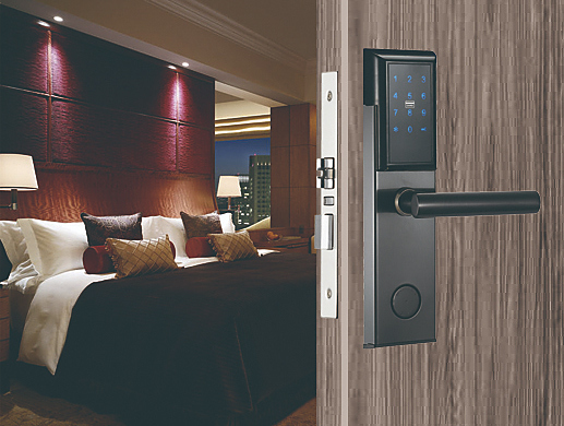 HL-F02 Mifare Smart черный