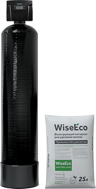 Система обезжелезивания WiseWater WWFС-1252 DMCan89 WiseEco F