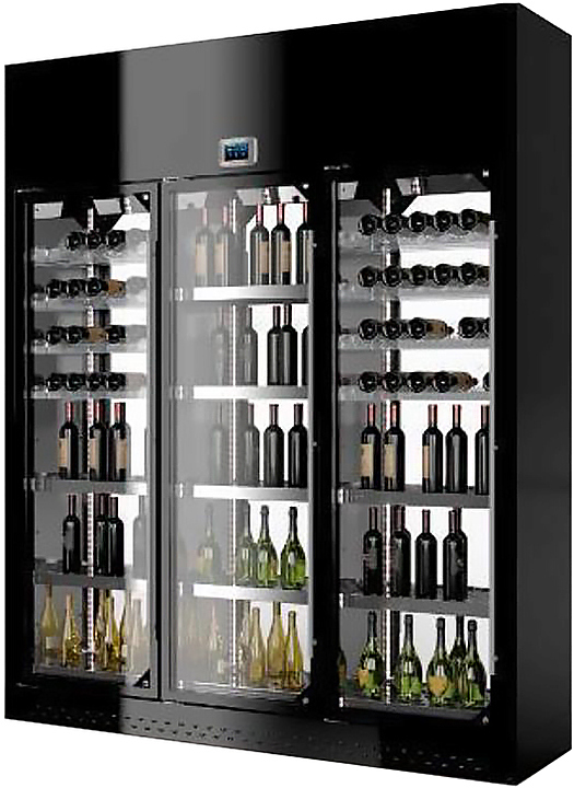 Винный шкаф Enofrigo WINE LIBRARY 3P WALL H220 P60 (A1WLW3P266P/421) черный