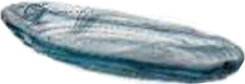 Тарелка ArdaCam Fenice ARD 2059.58 30x14,5 см h=3 см (стекло) овальная