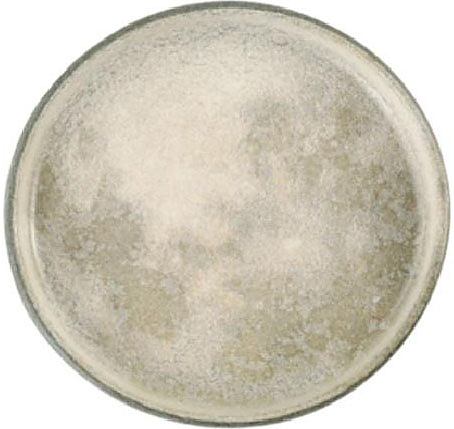 Тарелка Porland Stoneware Selene 18KP27