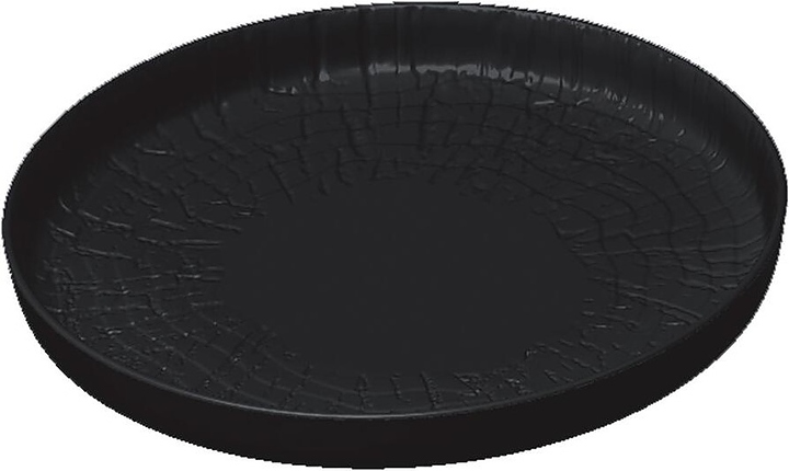 Тарелка с бортом P.L. Proff Cuisine Black Raw Wood 81229891 270х270 мм