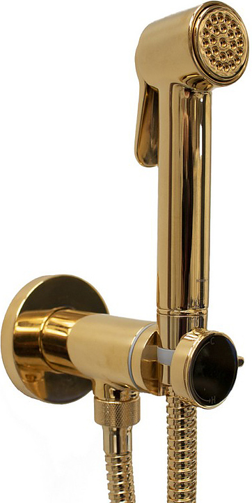 Гигиенический душ со смесителем Bossini Paloma Brass E37005B.021