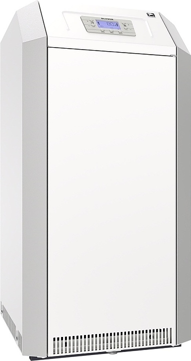 Котел отопительный газовый Лемакс Clever 40