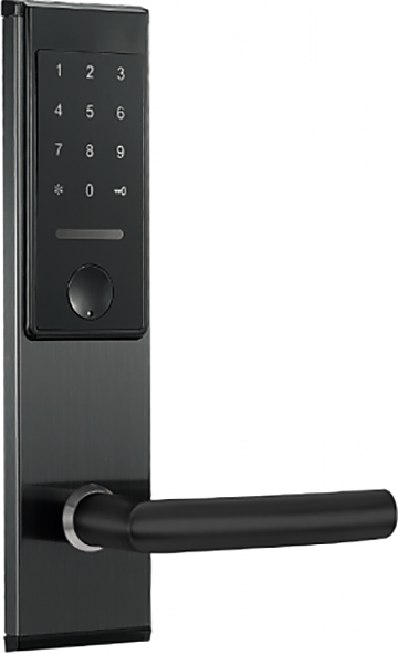 Замок электронный OZLOCKS HL-F32/SM/MF Mifare Smart черный