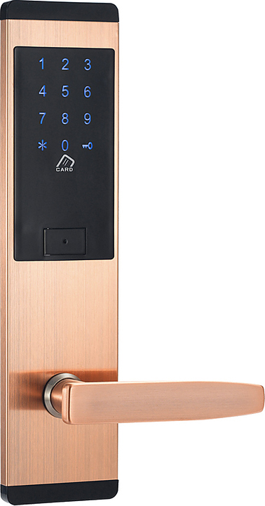 Замок электронный OZLOCKS HL-F16/SM/MF Mifare Smart бронза