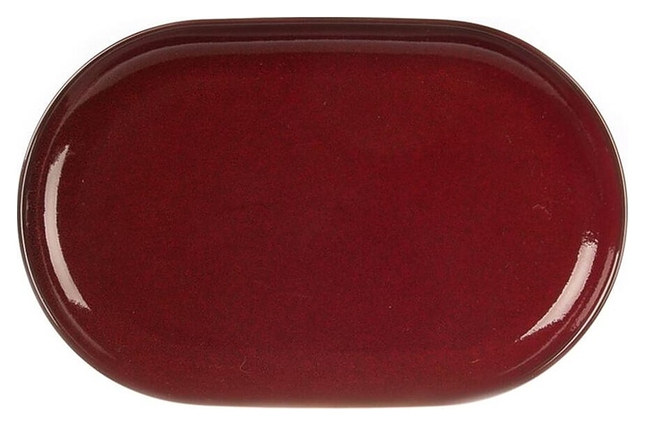 Блюдо овальное P.L. Proff Cuisine Evolution Dark Red 81223294 250х160х24 мм