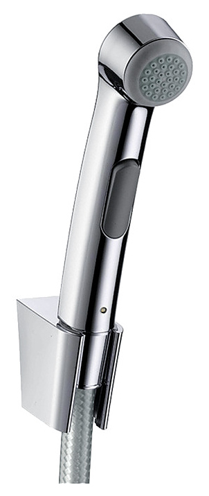 Гигиенический душ гарнитур Hansgrohe 96907000