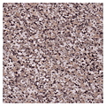 Koreco Granite top SH2000/800