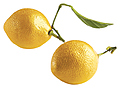 Pavoni AF006 Лимон