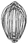 Kocateq M10APL Whisk